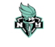 New York Liberty