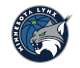 Minnesota Lynx